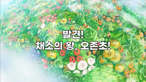 발견! 채소의 왕, 오존초!