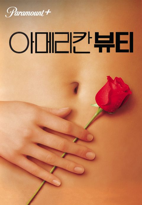 [판매종료]아메리칸 뷰티
