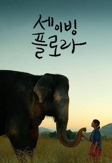 세이빙 플로라