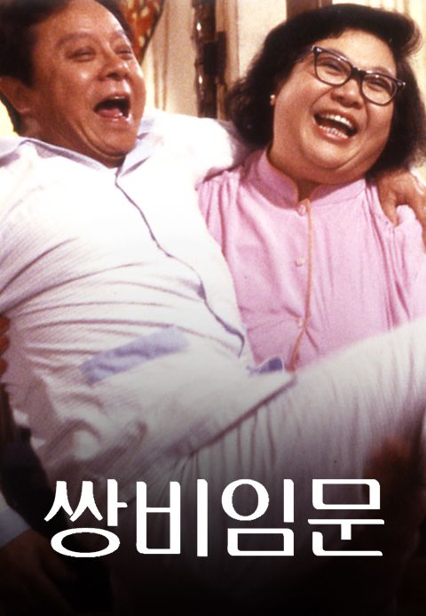 쌍비임문