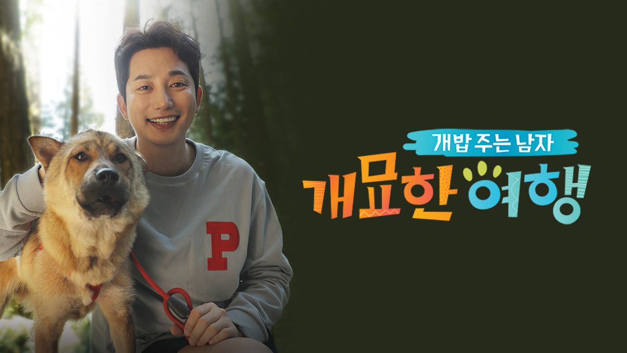 개밥 주는 남자 개묘한 여행