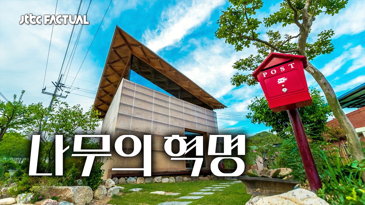 나무의 혁명
